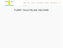 Tablet Screenshot of feline-welfare.co.uk